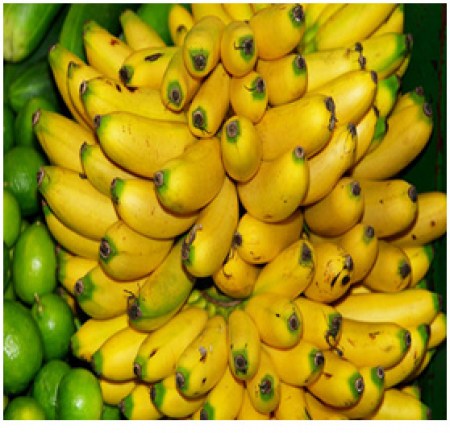 Chuối bơm - Công Ty TNHH Fresh Banana